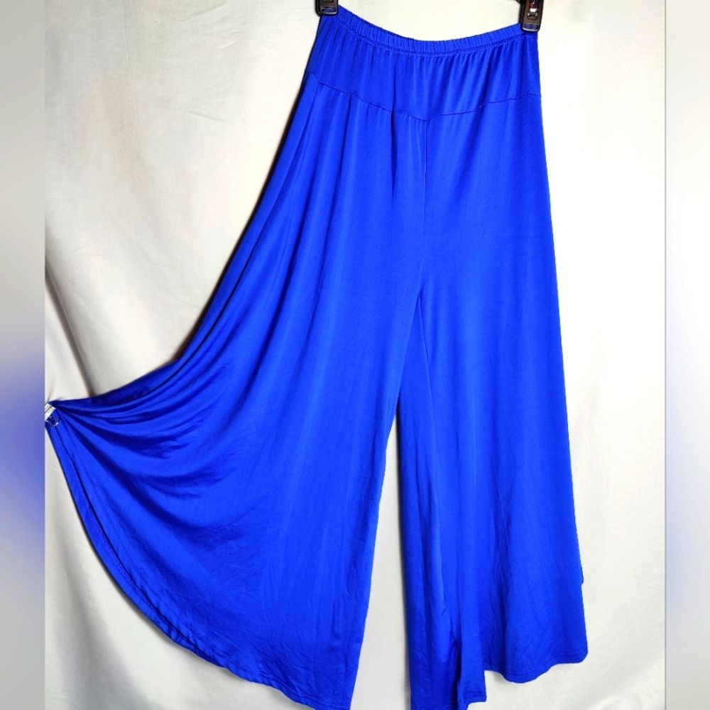 Spandex Gaucho Dance/Leisure Pants Blue Sz S